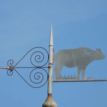 Casa de Férias De Carbonies