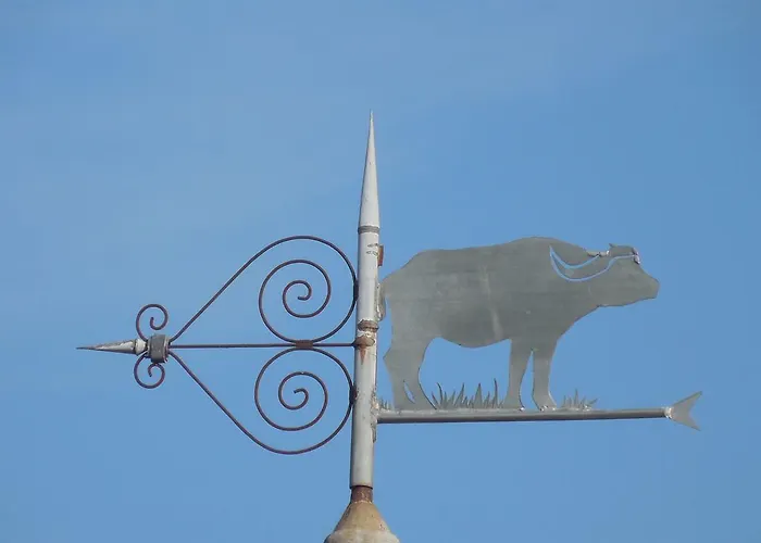 Feriehus De Carbonies